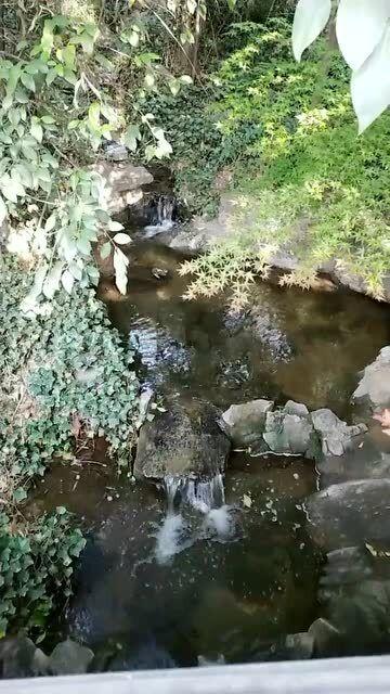 双点医院