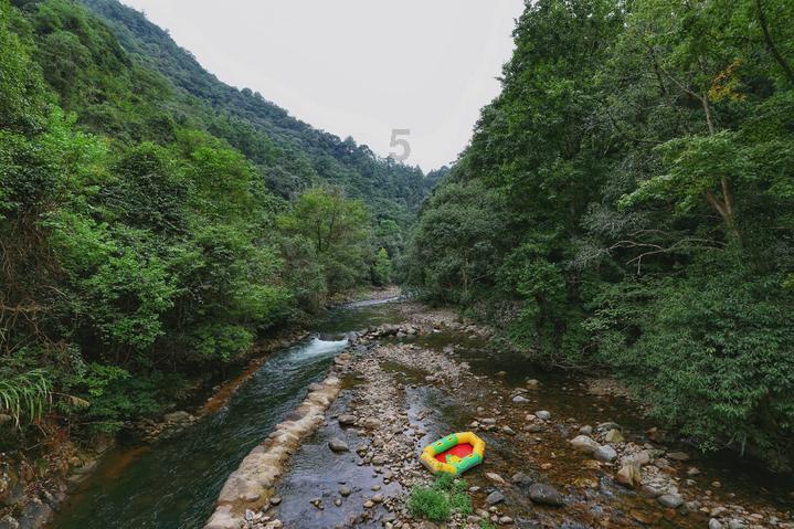 沙漠中寻宝