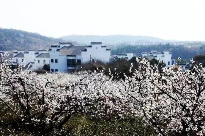 黑鲨4 Pro手机评测，这部手机有什么独特之处？它有哪些优势？
