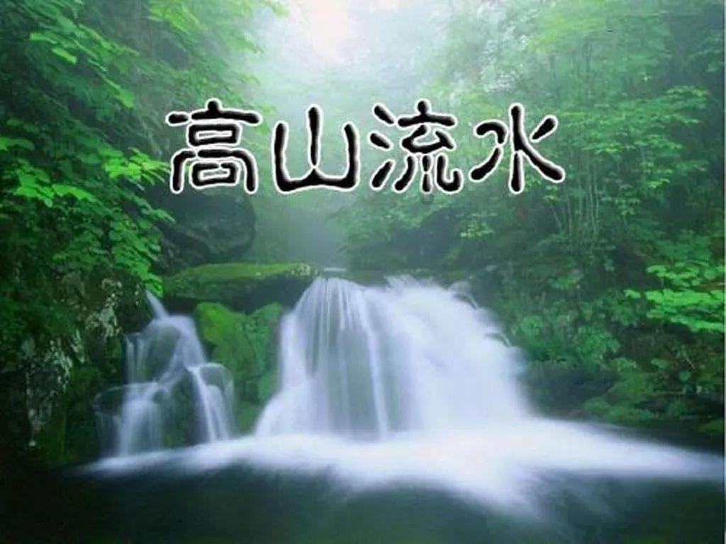 植物大战僵尸20