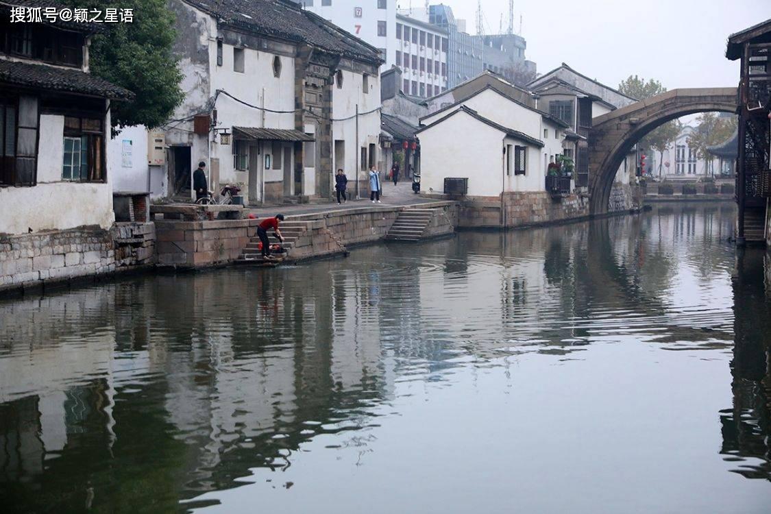 救援鹦鹉
